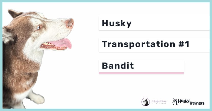 Husky Transportation with Husky Haven