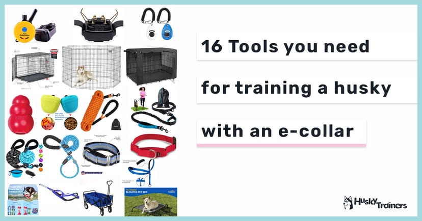 16 tools for training husky with e-collar